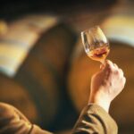 Shopruou247_hinh_anh_548877962 1204066648428281 5799694712603078395 n