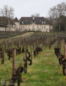 Shopruou247_hinh_anh_560559170 1225566569611622 2780231844763774834 n