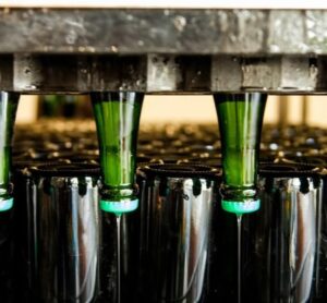 Shopruou247_hinh_anh_587817033 1259800342854911 1545528862754071928 n