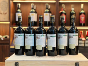 Shopruou247_hinh_anh_angelo 1 scaled 1