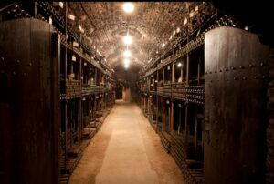 Shopruou247_hinh_anh_602403913 1284107823757496 6517909250011231165 n